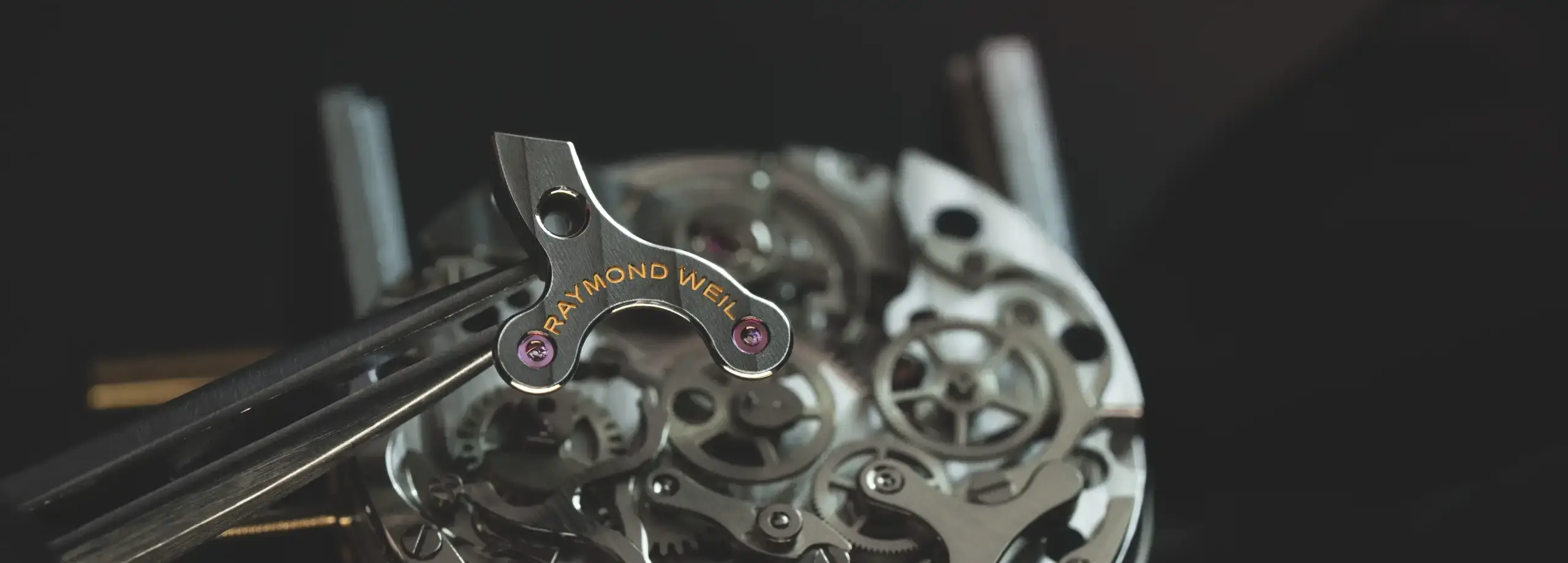 레이몬드 웨일 더 피프티